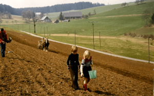 Kinder helfen auf dem Bauernhof mit