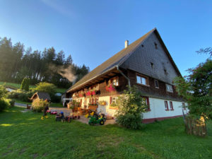 Ferienbauernhof mit Ferienwohnungen für den perfekten Urlaub im Schwarzwald