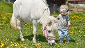 Geschenk-Gutschein Urlaub auf dem Kernenhof - Knderparadies